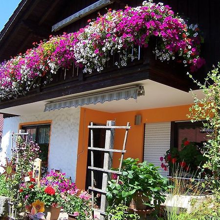 Appartement Haus Schmid à Innernzell Extérieur photo